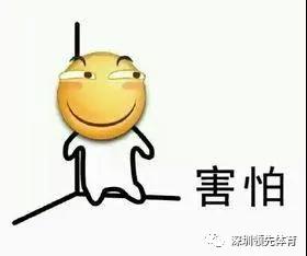 风速体育官方网站图片