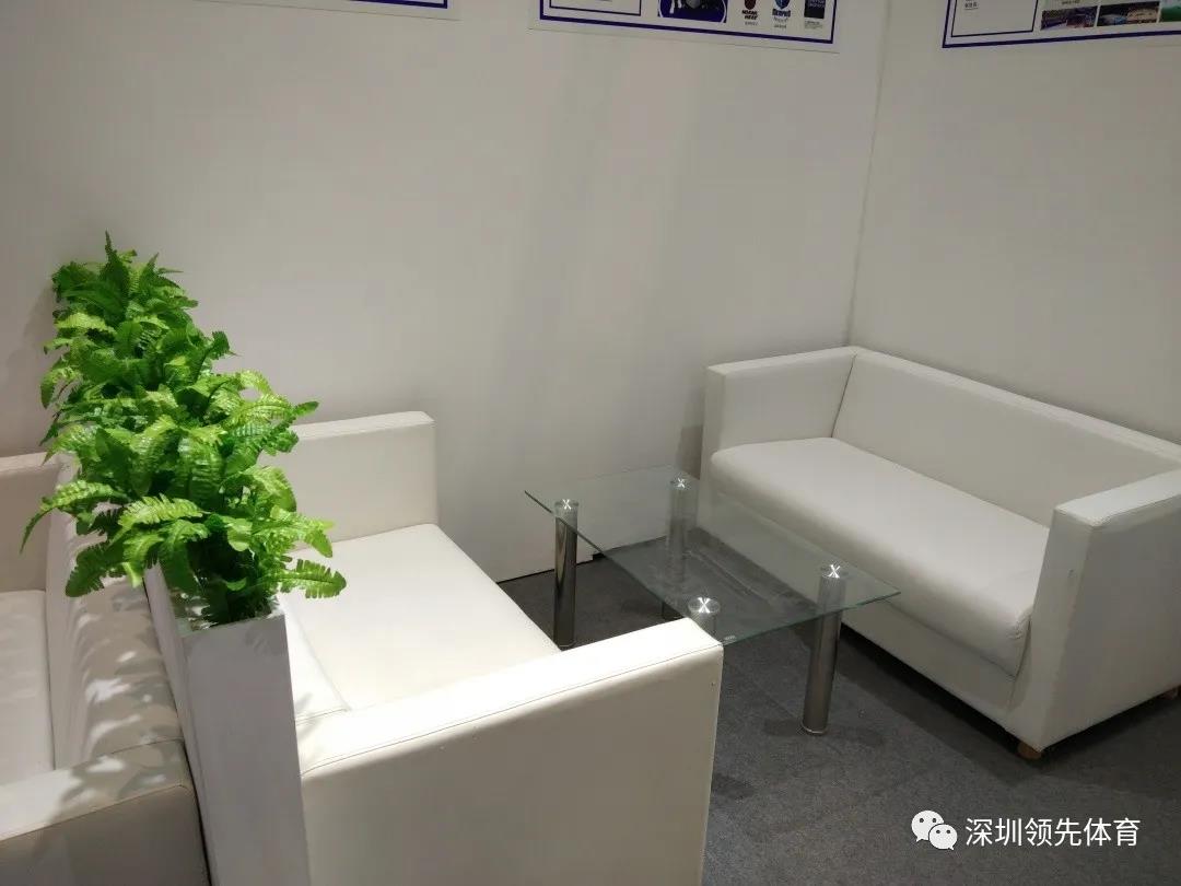 风速体育官方网站图片